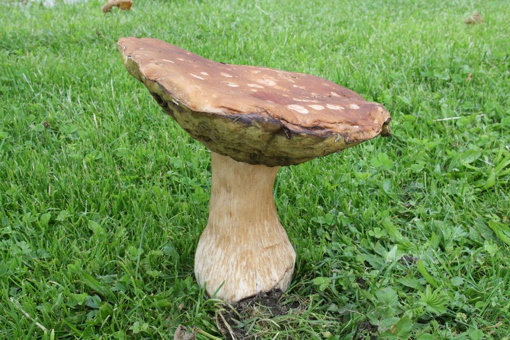 Chata Javorina Javorník 外观 照片